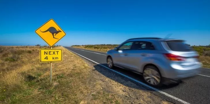 A car driving down a highway with a sign to warn drivers about kangaroos in the area