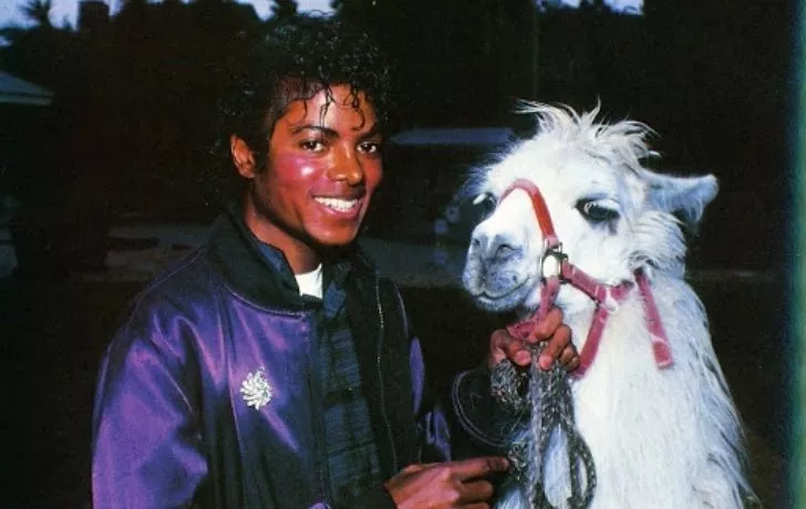 Michael Jackson with a llama